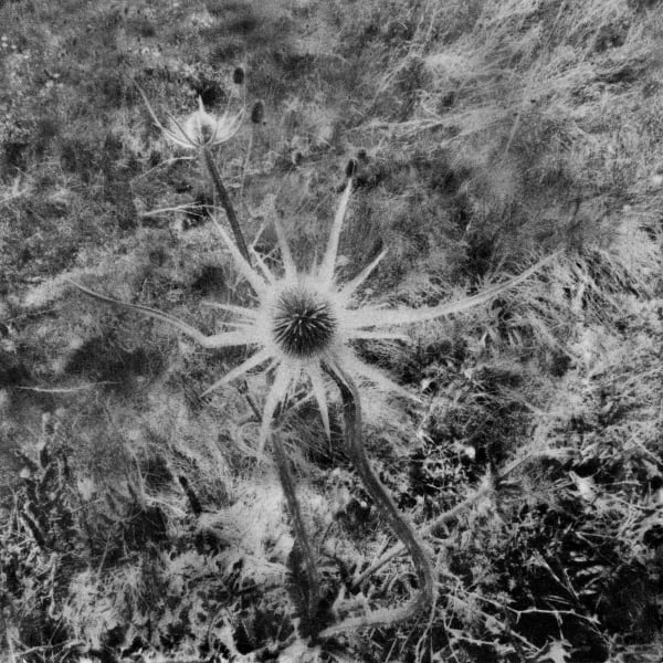 Hajime Kimura, Correspondence 75, 2017