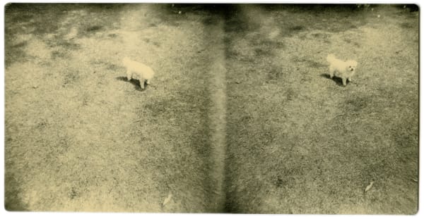 Miho Kajioka, BK0052, 2004