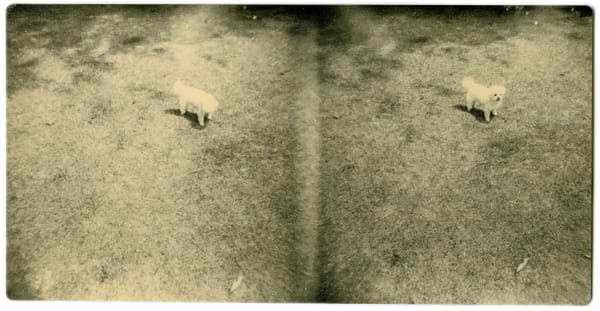 Miho Kajioka, BK0052, 2004