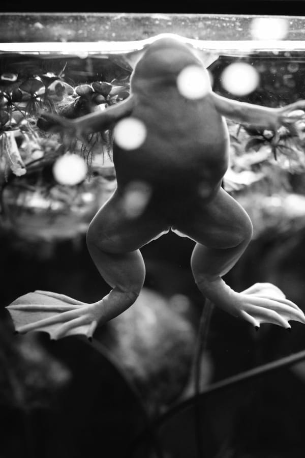 Photographer Hal, #26-Shinjuku, 2014/2015