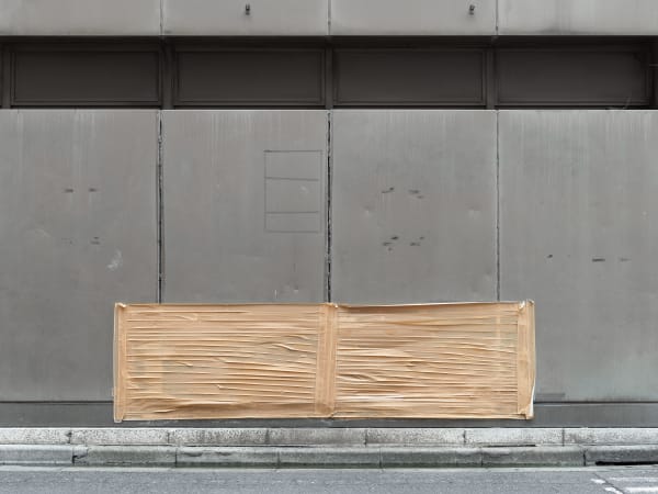 Bert Danckaert, True Nature #101 (Tokyo), 2019