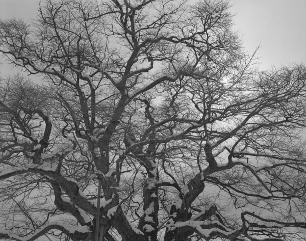 Keiichi Ito, Maniwa Okayama-ken, 2016