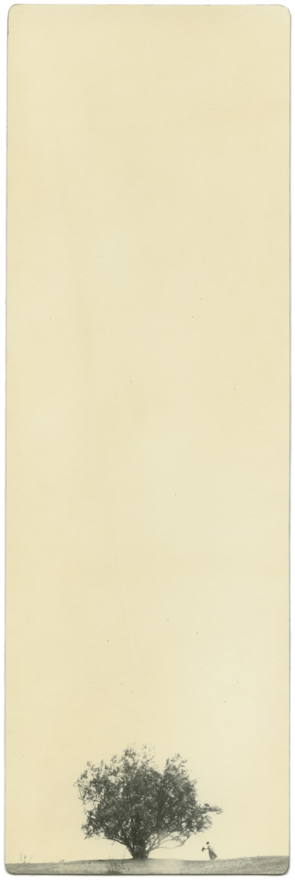 Miho Kajioka, BK0350, 2019