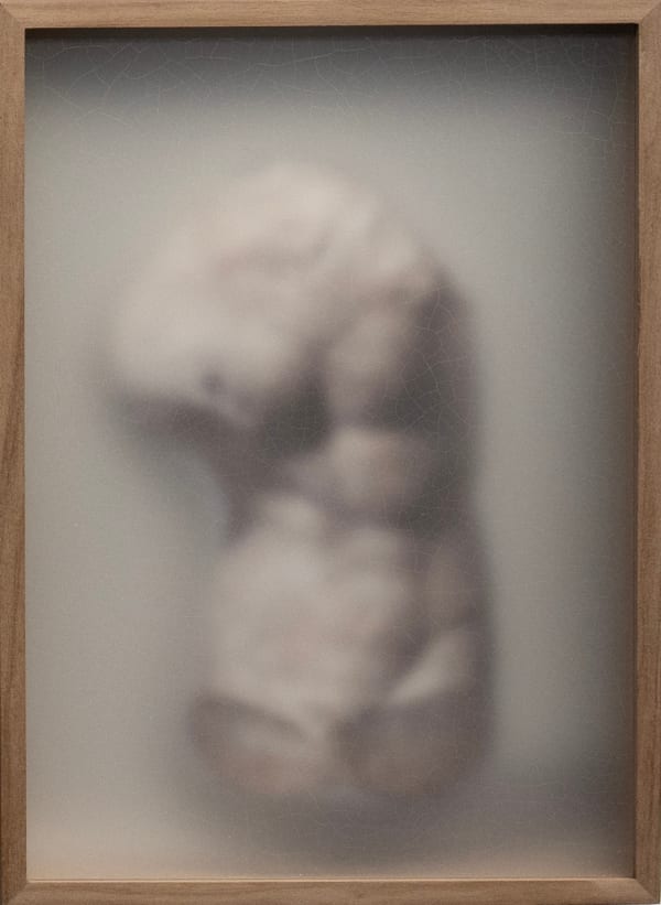 Casper Faassen, ReCollection XXIV 14, 2024