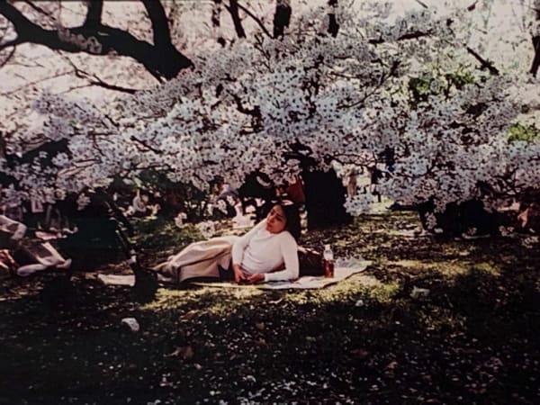 Sean Lotman, A moment of heartbreaking nostalgia, Kyoto, 2017