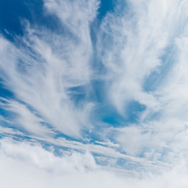 Yu Yamauchi, Yoake 40, 2007