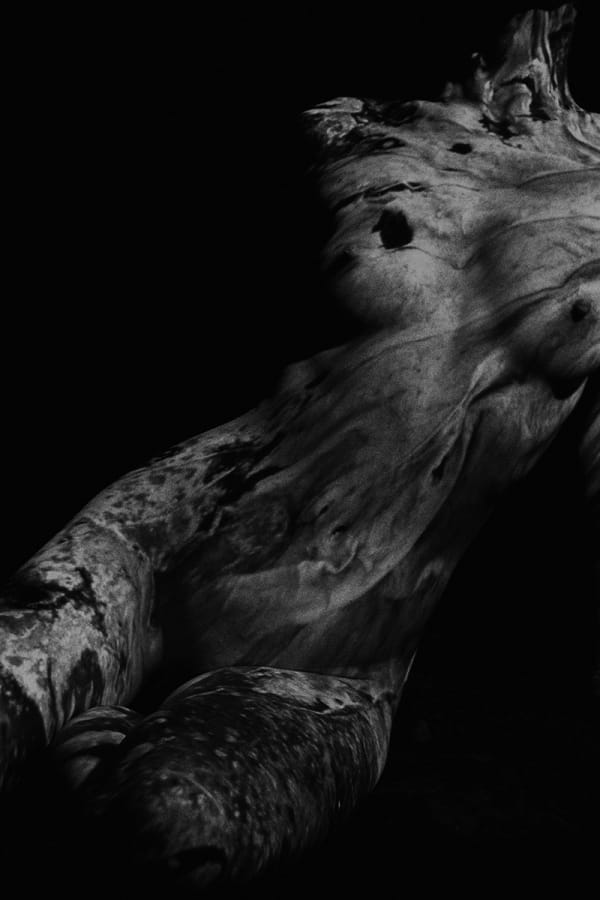 Yoko Mazuki, Torn Lotus, 2000