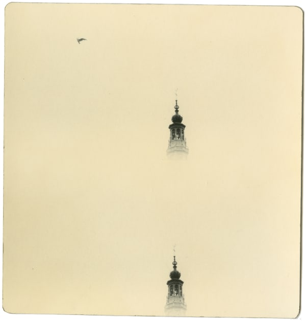 Miho Kajioka, BK0376, 2018