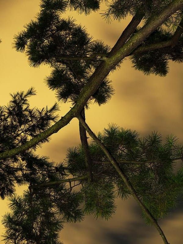 Yoshinori Mizutani, Moonlight 06, 2014