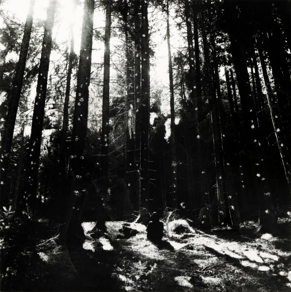 Ingrid Dorner, Liminal.IIII.06, 2025