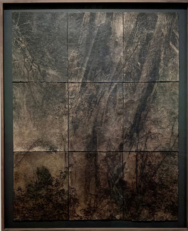 Hideyuki Ishibashi, Burning ground (fossil #2, one year after the fire at terrils 105 and 89 in Montigny-en-Gohelle), 2023