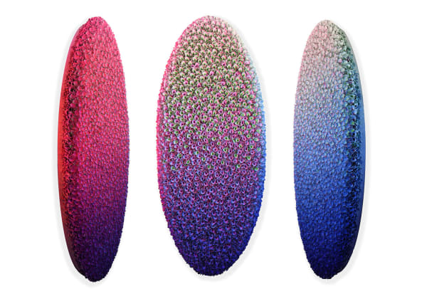 Oval, 2020 Rice paper and acrylic on canvas 170 x 70 cm