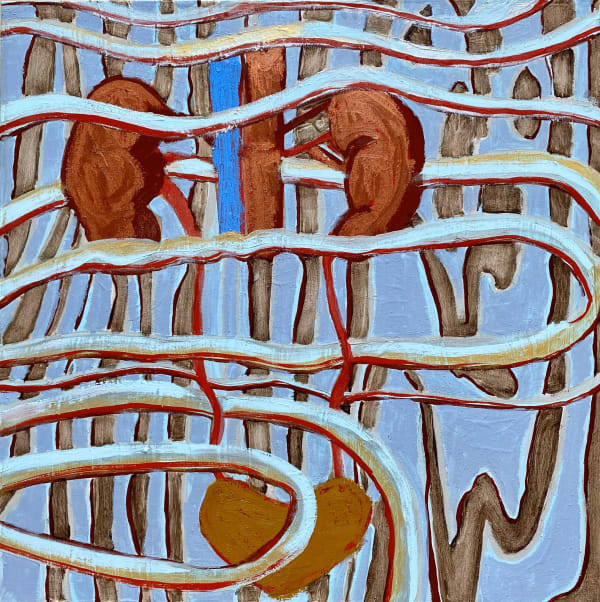 (32) Kidneys with Urinary System Skin Frequency