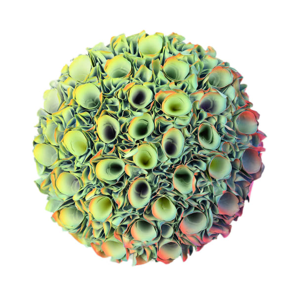 Zhuang Hong-yi Mini Series Rice paper and acrylic on canvas 20 cm in diameter