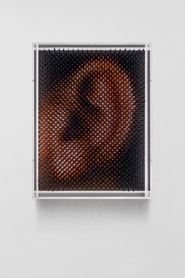 Maxim Wakultschik Details Ohr, 2022 Optical toothpicks behind plexiglass 26 x 20 x 9 cm 10 ¼ x 7 ⅞ x 3 ½ in