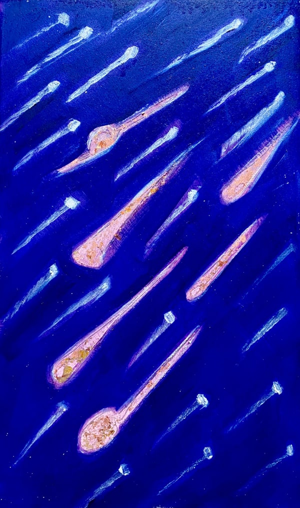 (29) Meteor Shower Phenomena