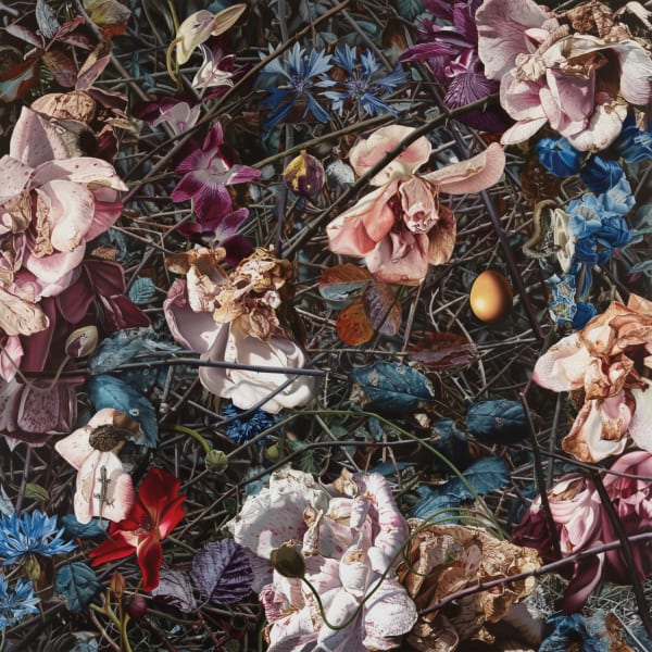 Casagrande, Ipervanitas 1724