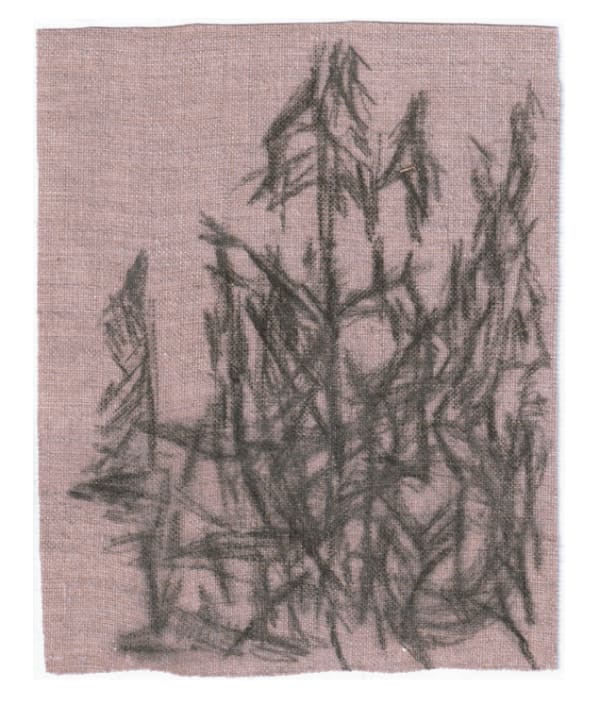 Untitled, 2022
