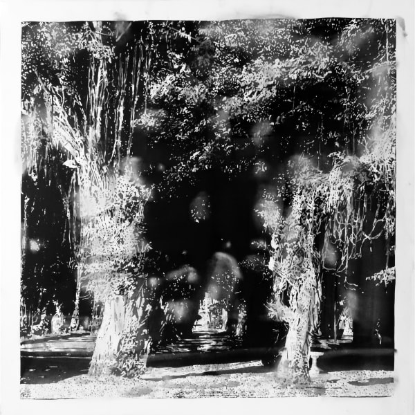 Dasha Rybina, Swamps, 2019