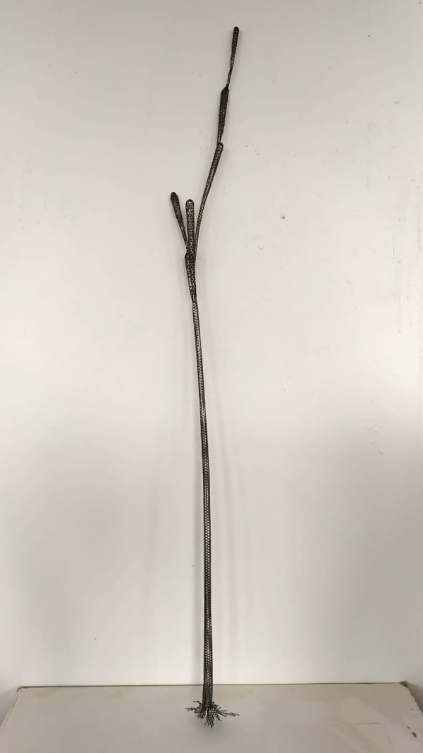 Dmitry Bulnygin, Subtle Cactus, 2024