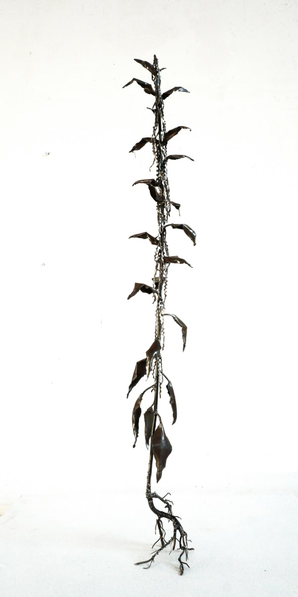 Dmitry Bulnygin, Nettle, 2025