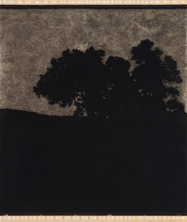 Anne Marie Finne, Nuit Claire VI (Th.Rousseau), 2025