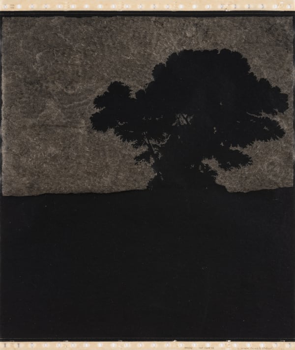 Anne Marie Finné, Nuit Claire VII (Le Lorrain), 2025