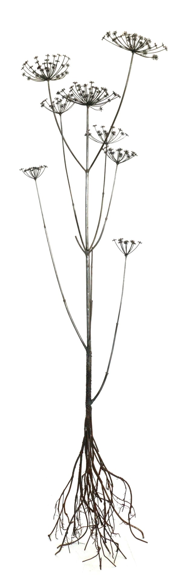 Dmitry Bulnygin, Hogweed Sosnovsky, 2025