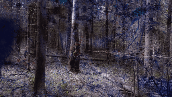 Maria Semenskaya, 2021