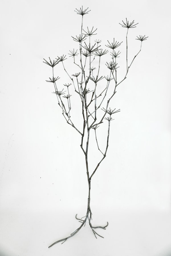 Dmitry Bulnygin, Hemlock, 2025