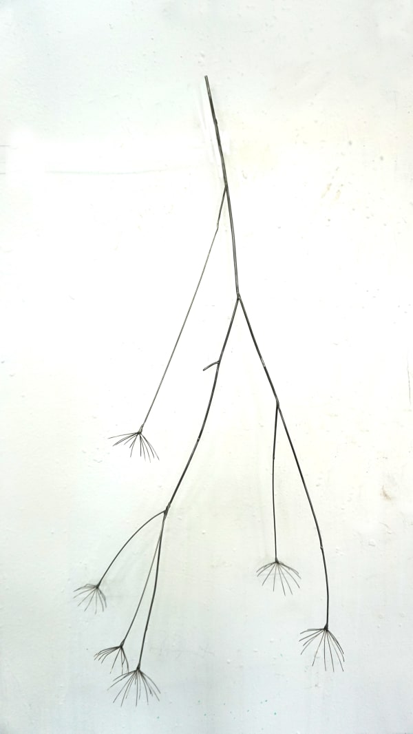 Dmitry Bulnygin, Common goutweed, 2025