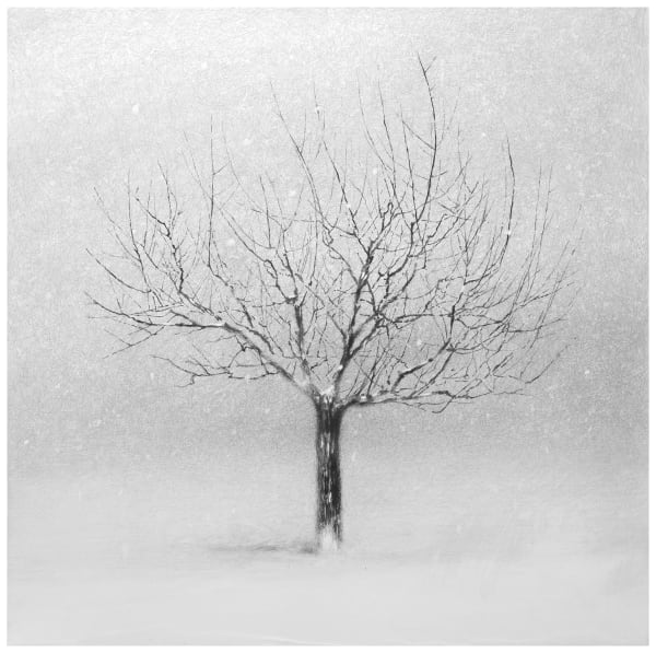 Danja Akulin, Untitled, 2024