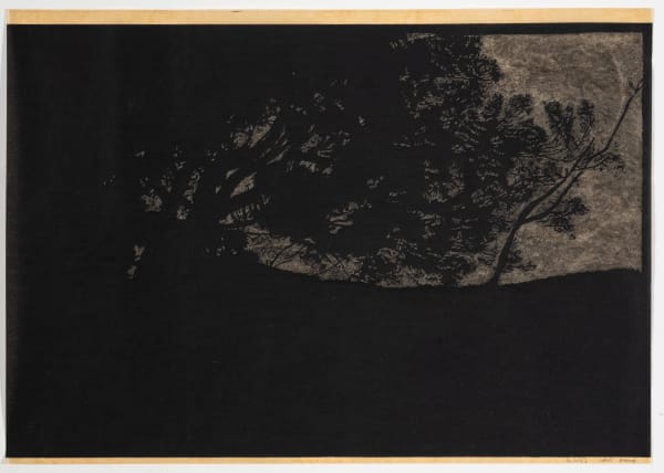 Anne Marie Finné, Les Bois I (Corot), 2025