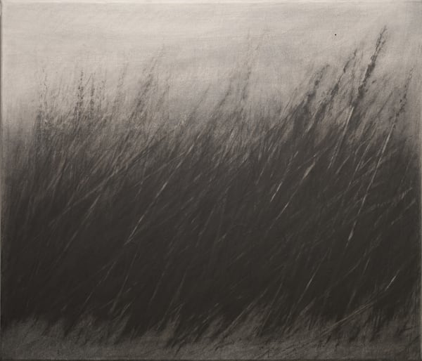 Danja Akulin, Untitled, 2014