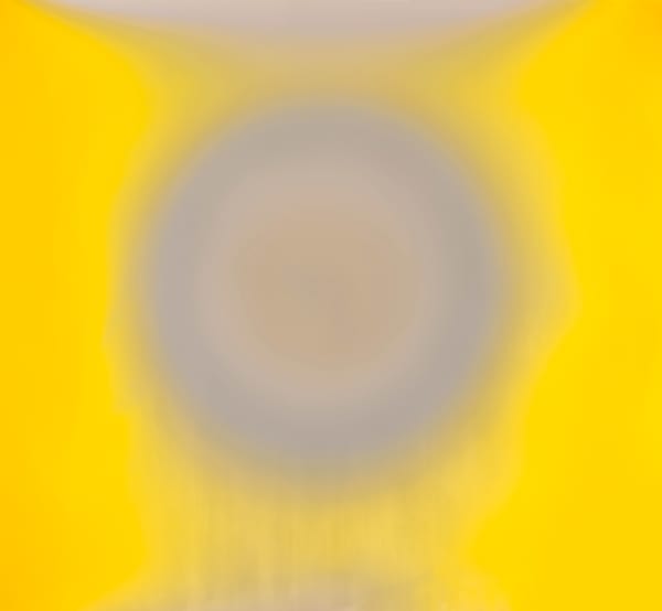 Garry Fabian Miller The Maggot, 2015 light, oil, Lambda c-type print from unique dye destruction print Edition 2 of 3 with 2 APs 135.5 x 145 cm 53 3/8 x 57 1/8 in (framed)