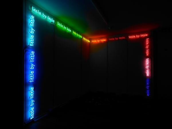 Peter Liversidge, Little by Little, 2010