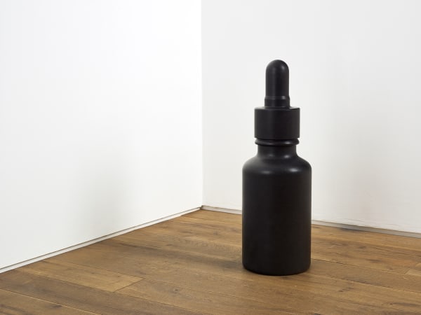 Iran do Espírito Santo, Dropping Bottle, 2013