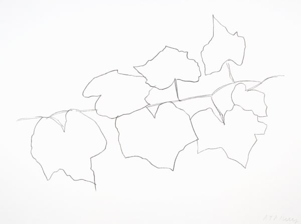 Ellsworth Kelly, Wild Grape Leaves II, 2004