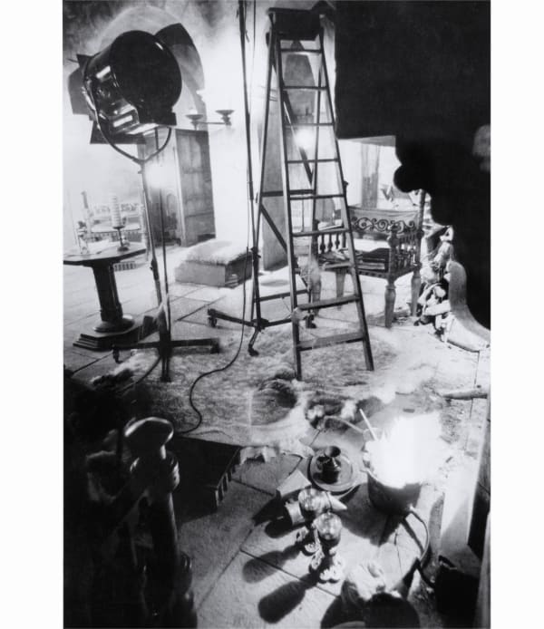 Jonathan Owen, Eraser Drawing (The Lion in Winter), 2020