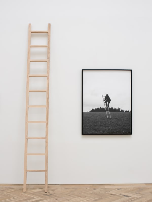 Jonny Lyons High Bias, 2018 Giclée print on Hahnemühle 308gsm Photo Rag Acid-free Archival paper, with sculpture in Canadian Oak and hardwood 120 x 91.5 cm (print unframed) 122.2 x 94 cm (print framed) 310 x 42 x 5 cm (sculpture) Edition of 10 prints. This one AP with unique sculpture.