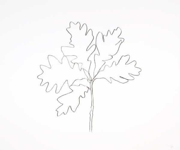 Ellsworth Kelly, Oak III, 1992