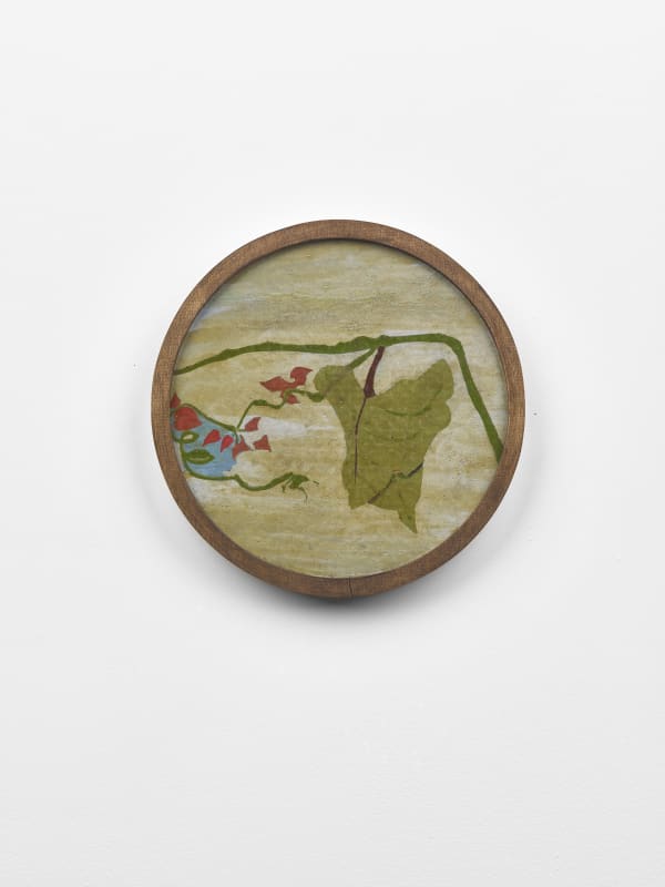 Frank Walter Untitled (Jumbie seeds, abstract botany) oil on biocomposite material, backed with Masonite 19.5 cm diameter