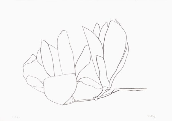 Ellsworth Kelly, Magnolia, 1966