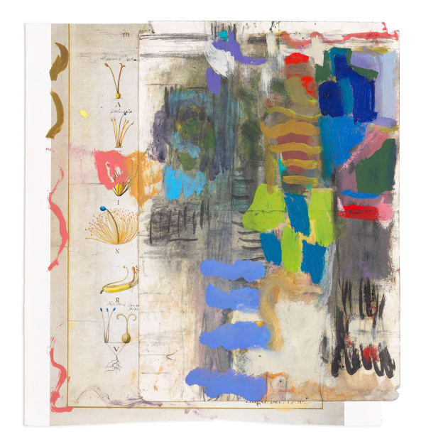 Lorna Robertson Pushes and pulls, 2023 collage, pencil and oil on paper 26.7 x 24.9 cm 10 1/2 x 9 3/4 in (paper size) 29.5 x 27.5 x 3.5 cm 11 5/8 x 10 7/8 x 1 3/8 in (framed)