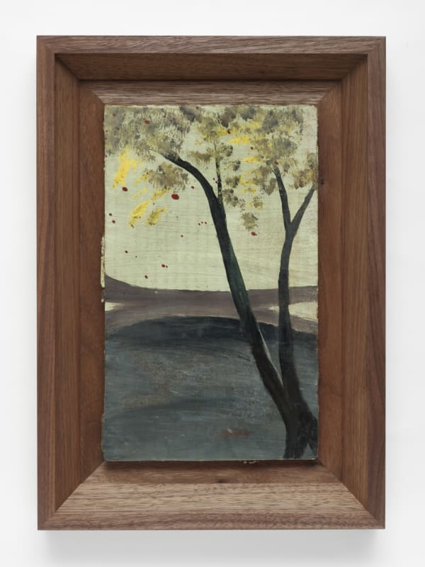 Frank Walter, Yellow Blossomed Tree