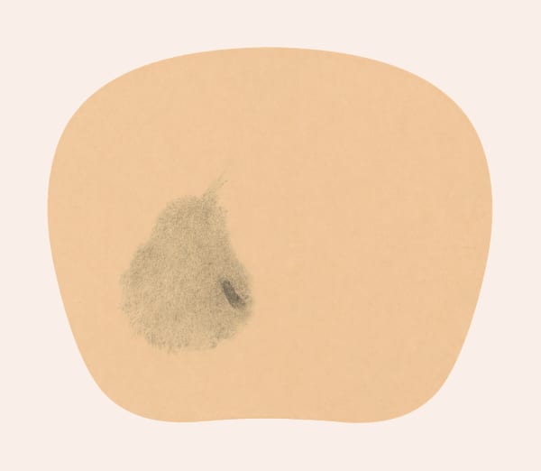 Bingyi 冰逸, Fairy of Pear 梨妖, 2012-2016