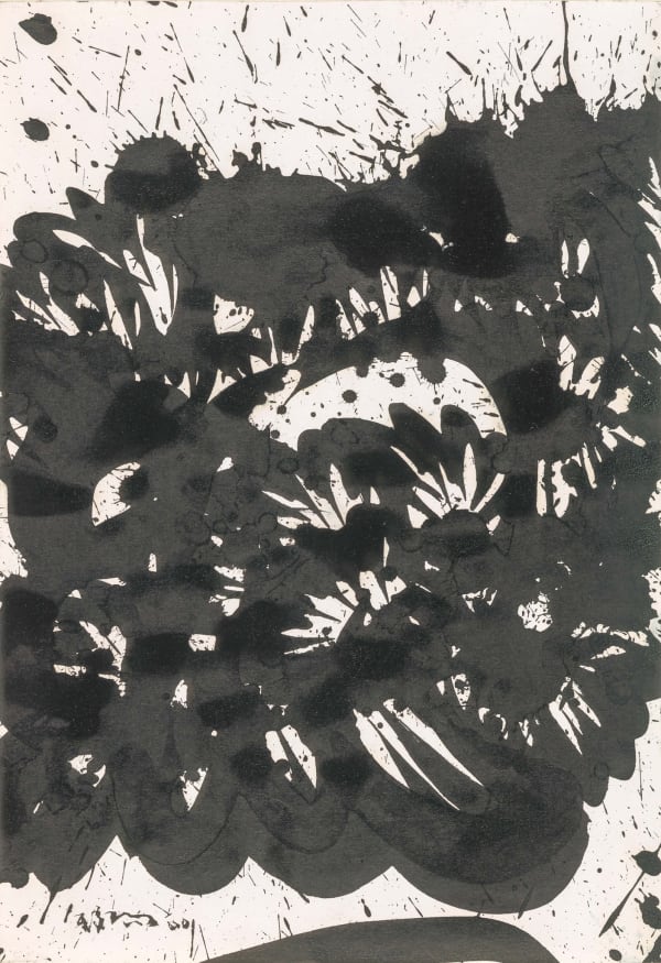 Huang Zhiyang 黄致阳, Morphological Ecology 013 形象生态013, 2000