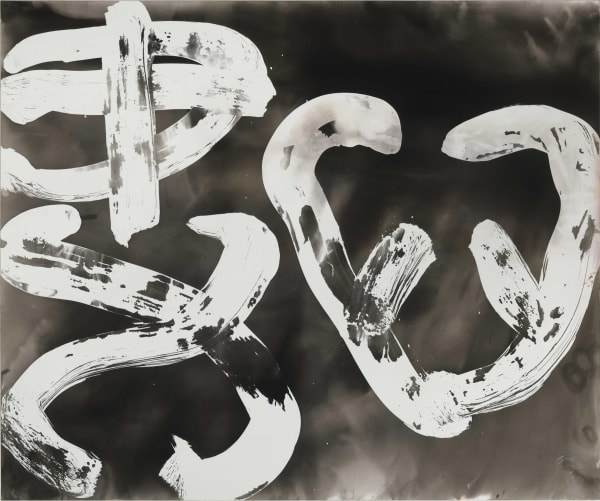 Wang Dongling 王冬龄, Heart Painting 心画, 2013