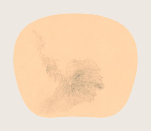 Bingyi 冰逸, Fairy of Rivers 河妖, 2012-2016