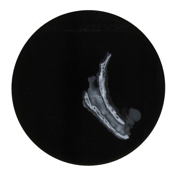 Bingyi 冰逸, 润, 2013-2014
